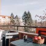 Rent 2 bedroom apartment of 64 m² in Berlin