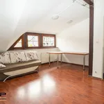 Rent 7 bedroom house of 400 m² in Szczecin