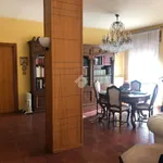 Rent 7 bedroom apartment of 218 m² in Potenza