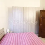 Rent 3 bedroom apartment of 80 m² in Lucca