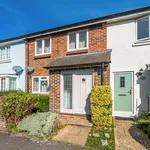 Rent 1 bedroom apartment in Chichester