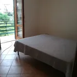 Rent 1 bedroom apartment of 75 m² in Rome