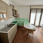 2-room flat via Bruxelles, Centro, San Donato Milanese