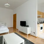 Rent 1 bedroom apartment of 33 m² in Berlin