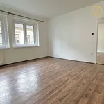 Pronájem bytu 3+1 88m²