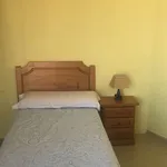 Rent a room in valladolid