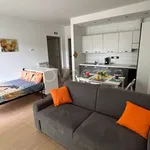 Rent 1 bedroom apartment of 40 m² in Rimini