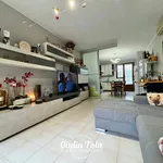 Rent 3 bedroom house of 122 m² in Venice