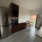 Rent 5 bedroom apartment of 101 m² in Torino