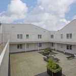 Rent 3 bedroom apartment of 107 m² in Noorderhoofdbuurt