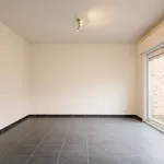 Rent 2 bedroom apartment in Gavere