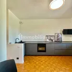 Rent 1 bedroom apartment of 43 m² in Cascina Cinq Fo