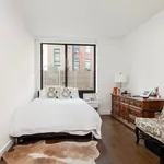 Rent 2 bedroom apartment of 111 m² in New York