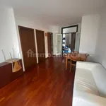 Rent 3 bedroom apartment of 100 m² in Rovigo