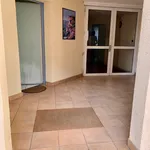 Appartement de 27 m² avec 1 chambre(s) en location à Cahors