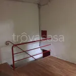 Rent 4 bedroom apartment of 85 m² in Bologna