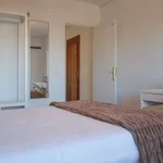 Rent a room in madrid