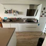 Rent 4 bedroom apartment of 103 m² in Rotterdam