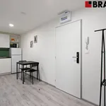 Rent 2 bedroom apartment in Brno