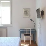 Rent a room in bologna