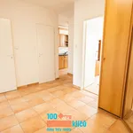 Rent 3 bedroom apartment of 73 m² in Praha