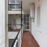 Rent 7 bedroom apartment in Madrid