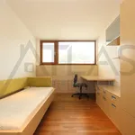 Rent 3 bedroom apartment of 122 m² in Prague