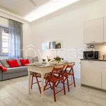 Rent 3 bedroom apartment of 70 m² in Firenze