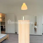 Rent 2 bedroom apartment of 60 m² in Turin