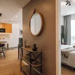 Rent 1 bedroom apartment in lisbon