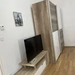 Rent 1 bedroom apartment of 28 m² in Vienna