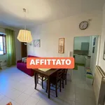 Affitto 2 camera appartamento di 50 m² in Capodimonte