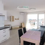 Rent 2 bedroom apartment of 55 m² in Plzeň