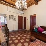 Rent 1 bedroom apartment in Florence