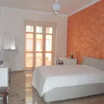 Rent 1 bedroom apartment in turin