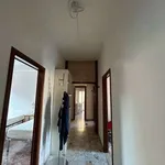 Rent 4 bedroom apartment of 90 m² in Bologna