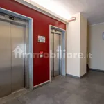 Rent 3 bedroom apartment of 95 m² in Turin