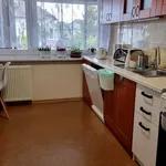 Rent 3 bedroom house of 100 m² in Wrocław