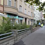 Rent 3 bedroom apartment of 83 m² in zizkov