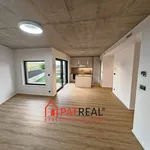 Rent 5 bedroom apartment in Brno