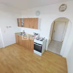 Rent 1 bedroom apartment of 36 m² in Ústí nad Labem