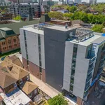 Rent 1 bedroom apartment in Hamilton