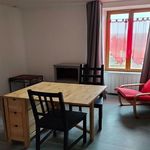 Rent 1 bedroom apartment in SAINT JUST EN CHEVALET