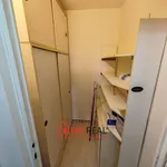 Rent 1 bedroom apartment in Brno