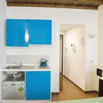 Rent 1 bedroom apartment of 25 m² in rome