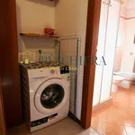 Rent 2 bedroom apartment of 50 m² in Ponti sul Mincio