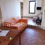 Rent 2 bedroom apartment of 50 m² in Siena