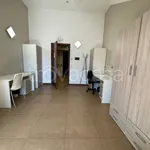 Rent 1 bedroom apartment of 20 m² in Torino