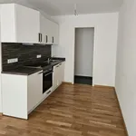 Rent 2 bedroom apartment of 76 m² in Dresden