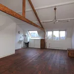 Rent 3 bedroom house of 145 m² in Utrecht